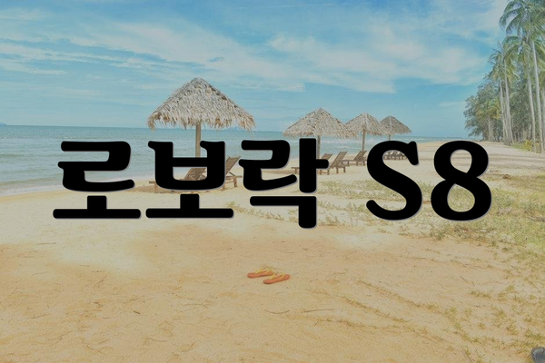 로보락 S8