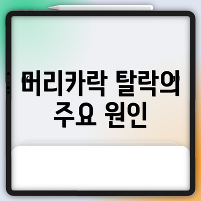 머리카락 탈락의 주요 원인
