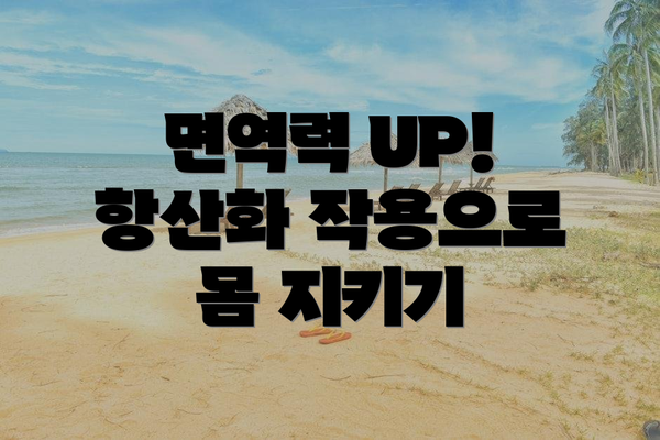 면역력 UP! 항산화 작용으로 몸 지키기