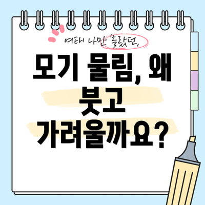 모기 물림, 왜 붓고 가려울까요?