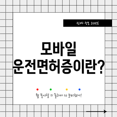 모바일 운전면허증이란?