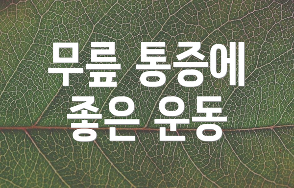 무릎 통증에 좋은 운동