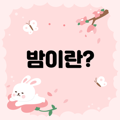 밤이란?