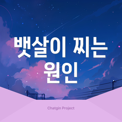 뱃살이 찌는 원인