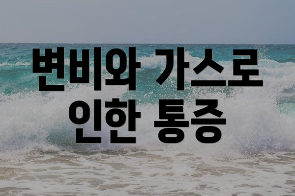 변비와 가스로 인한 통증