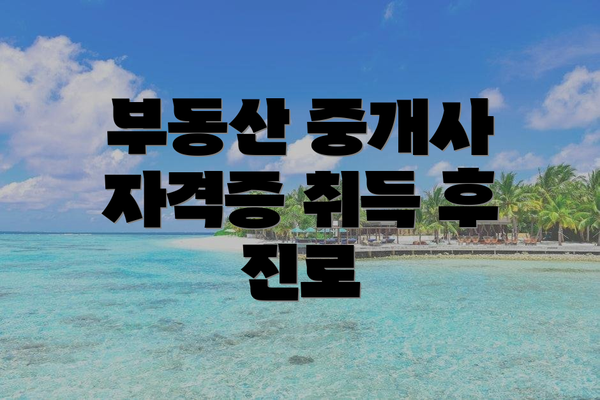 부동산 중개사 자격증 취득 후 진로