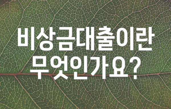 비상금대출이란 무엇인가요?