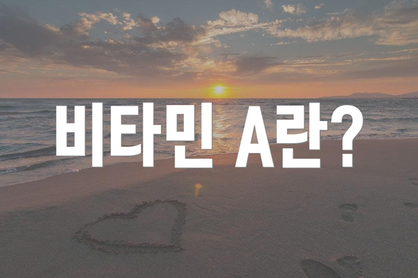 비타민 A란?