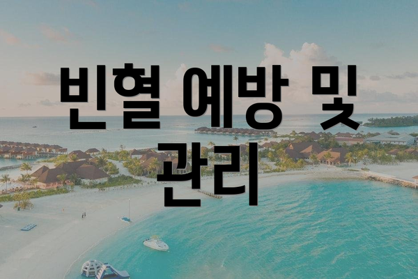 빈혈 예방 및 관리