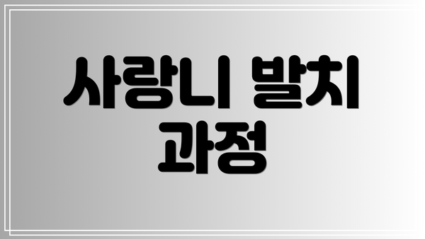 사랑니 발치 과정