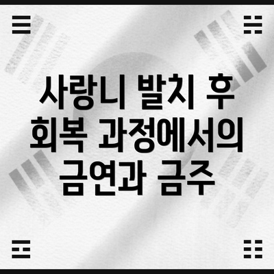 사랑니 발치 후 회복 과정에서의 금연과 금주