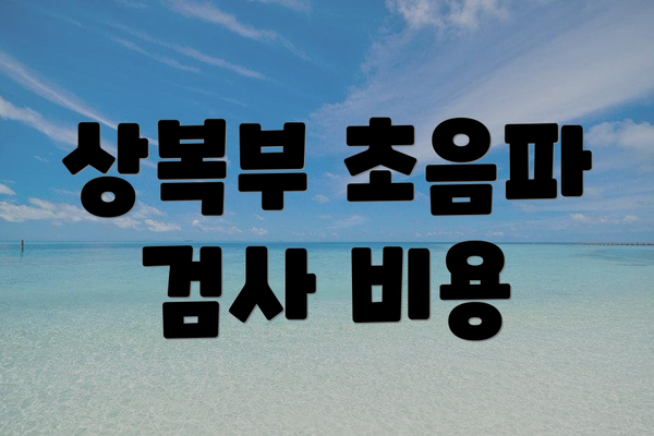상복부 초음파 검사 비용