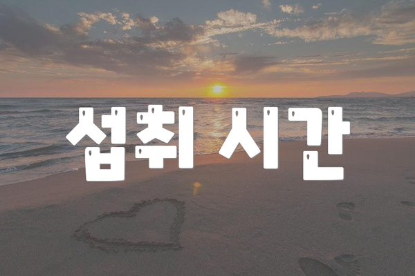 섭취 시간