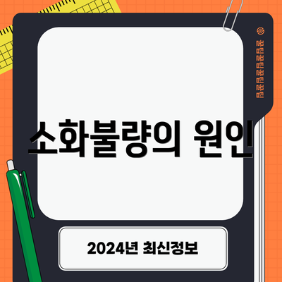 소화불량의 원인