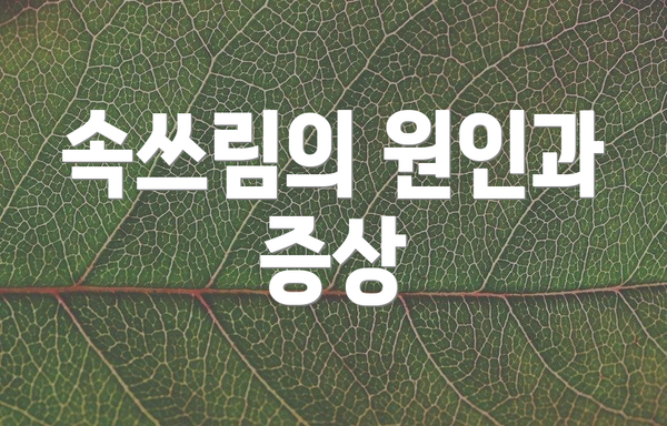 속쓰림의 원인과 증상