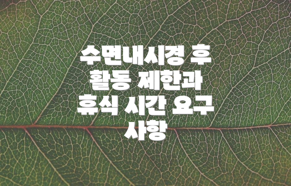 수면내시경 후 활동 제한과 휴식 시간 요구 사항