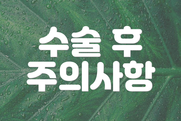 수술 후 주의사항