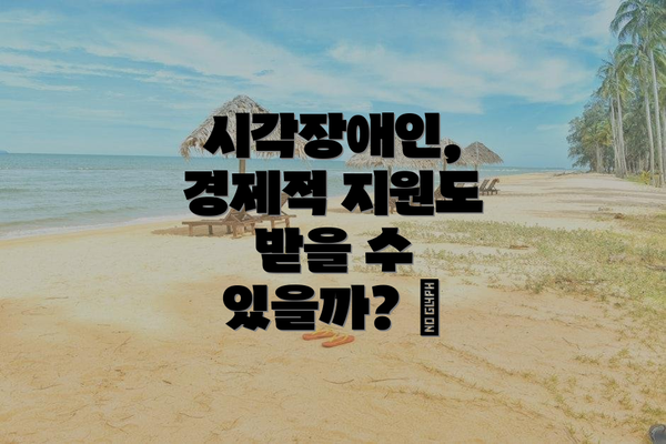 시각장애인, 경제적 지원도 받을 수 있을까? 💵