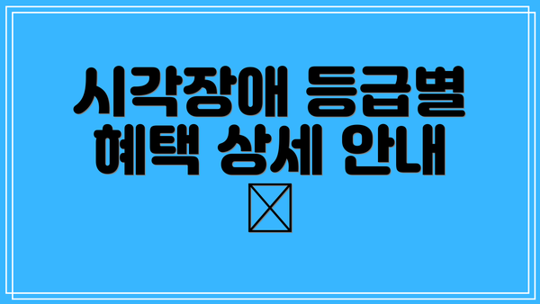 시각장애 등급별 혜택 상세 안내 🎁