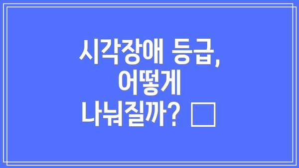시각장애 등급, 어떻게 나눠질까? 🤔