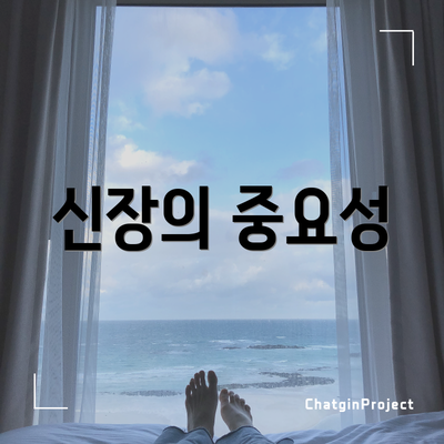 신장의 중요성