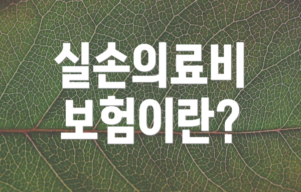 실손의료비 보험이란?