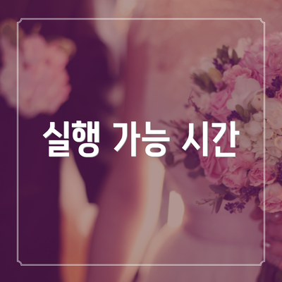 실행 가능 시간