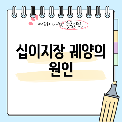 십이지장 궤양의 원인