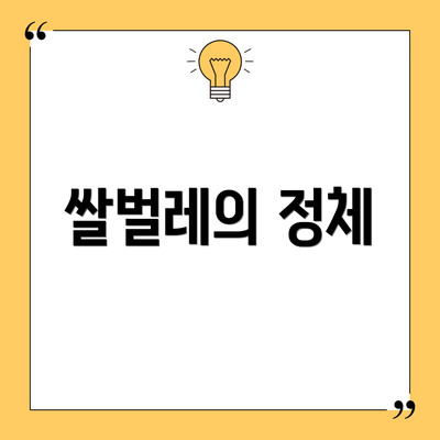 쌀벌레의 정체