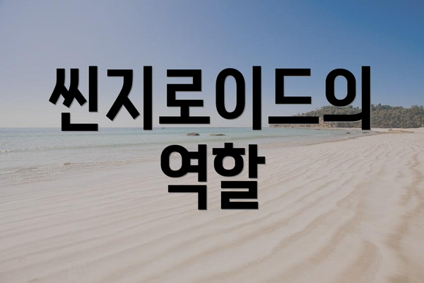 씬지로이드의 역할