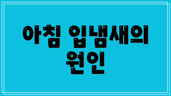 아침 입냄새의 원인