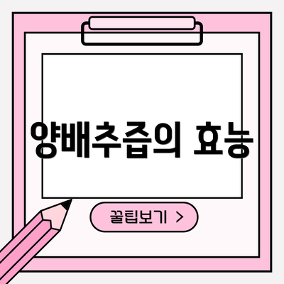 양배추즙의 효능