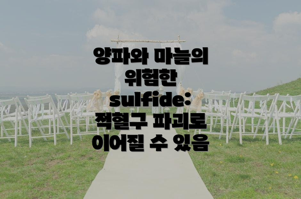 양파와 마늘의 위험한 sulfide: 적혈구 파괴로 이어질 수 있음