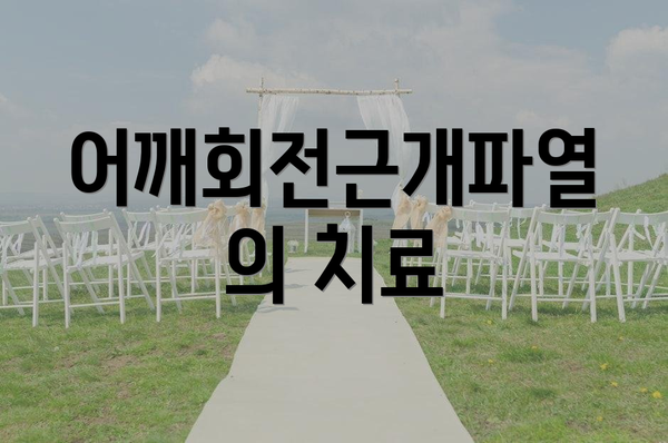 어깨회전근개파열의 치료