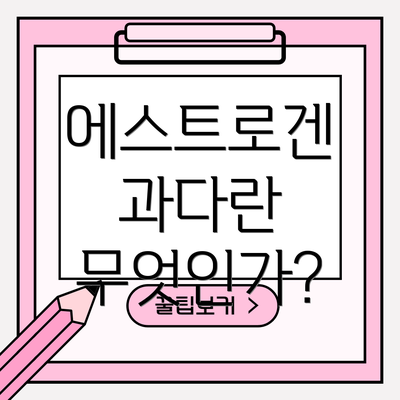 에스트로겐 과다란 무엇인가?