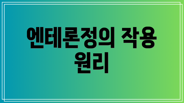 엔테론정의 작용 원리