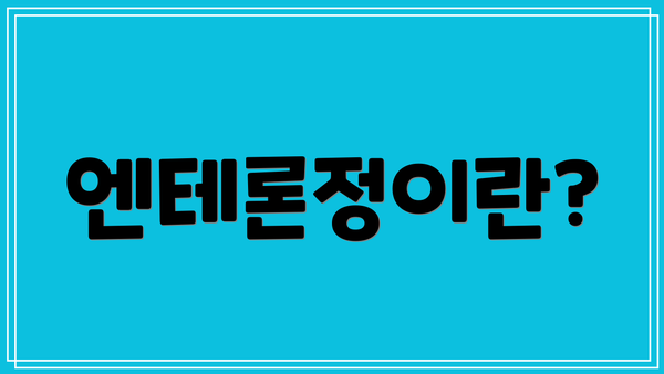 엔테론정이란?