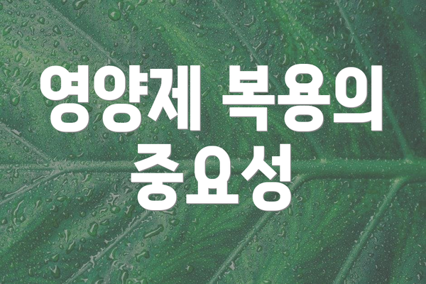 영양제 복용의 중요성