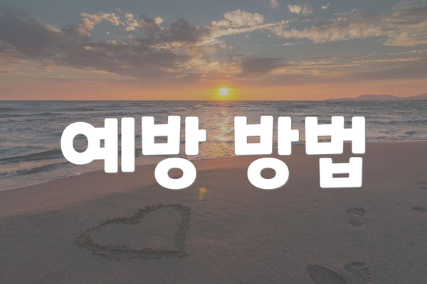 예방 방법