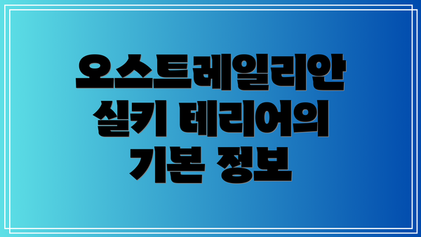 오스트레일리안 실키 테리어의 기본 정보