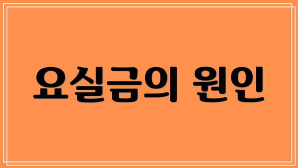 요실금의 원인