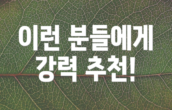 이런 분들에게 강력 추천!