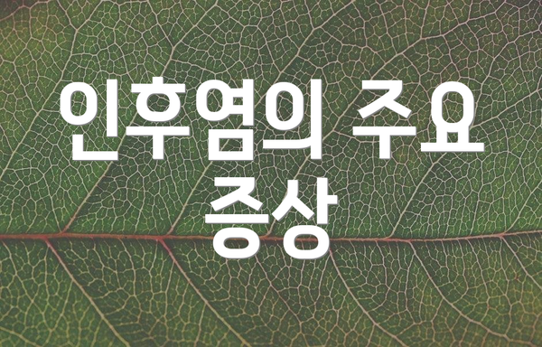 인후염의 주요 증상