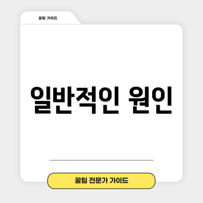 일반적인 원인