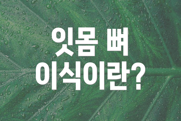 잇몸 뼈 이식이란?