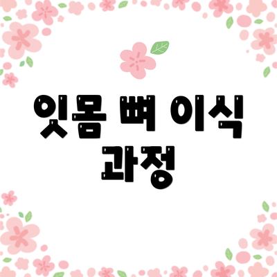 잇몸 뼈 이식 과정