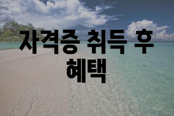 자격증 취득 후 혜택