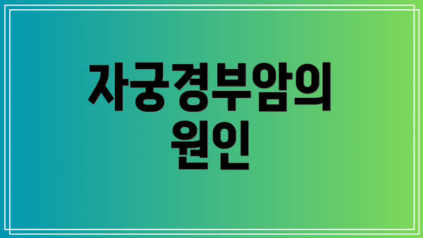 자궁경부암의 원인