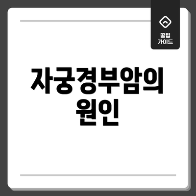 자궁경부암의 원인