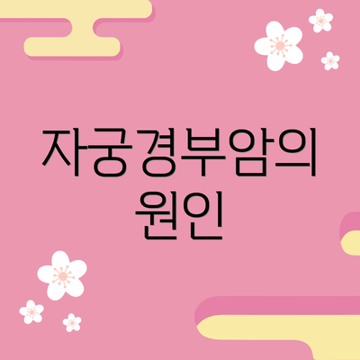 자궁경부암의 원인